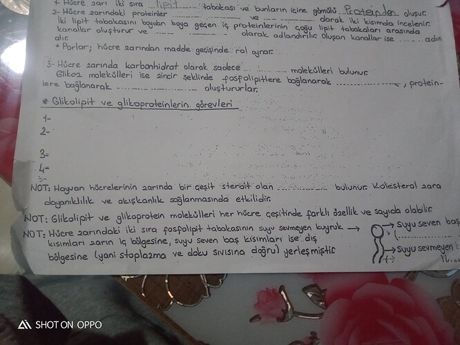 IMG20240303185127